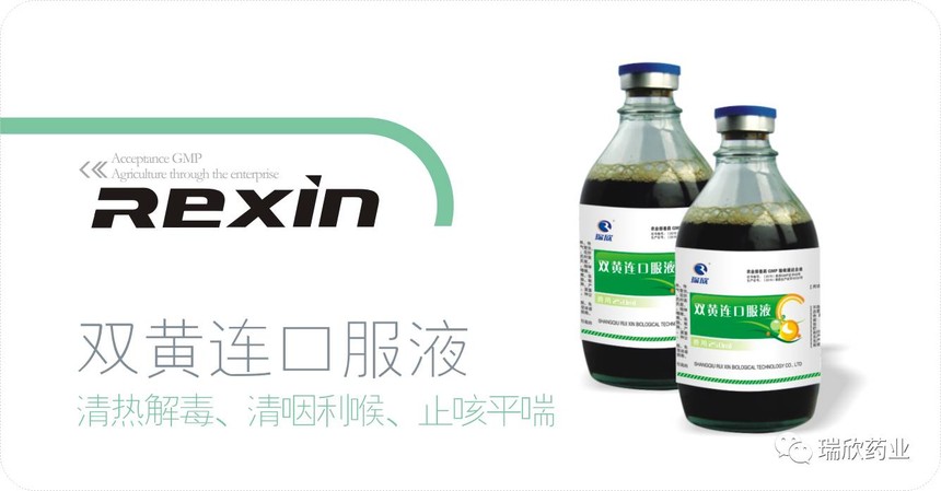 双黄连口服液(图1)