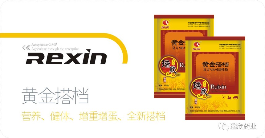 黄金搭档(图1)