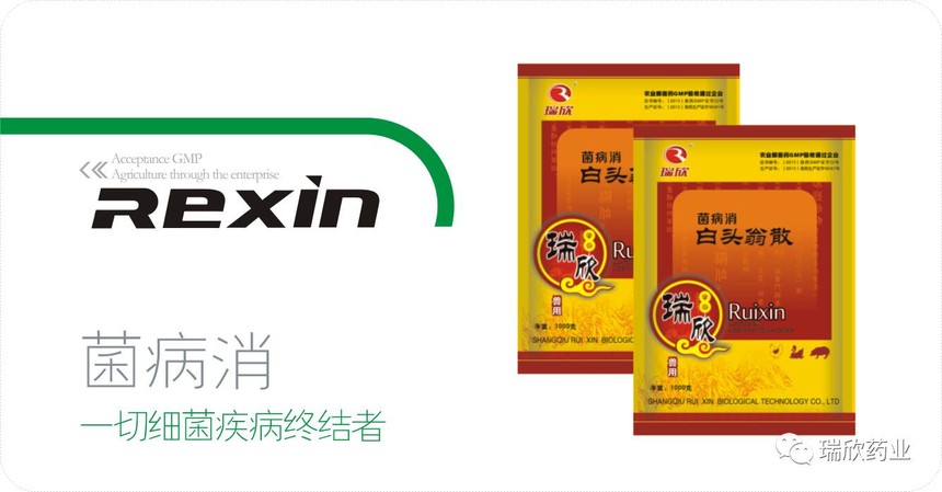 菌病消(图1)