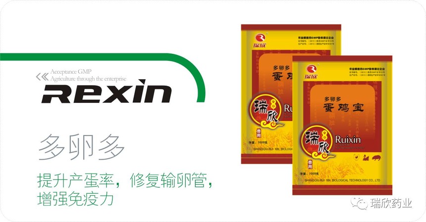 多卵多(图1)