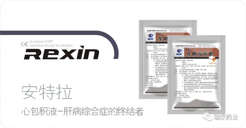 安特拉(图1)