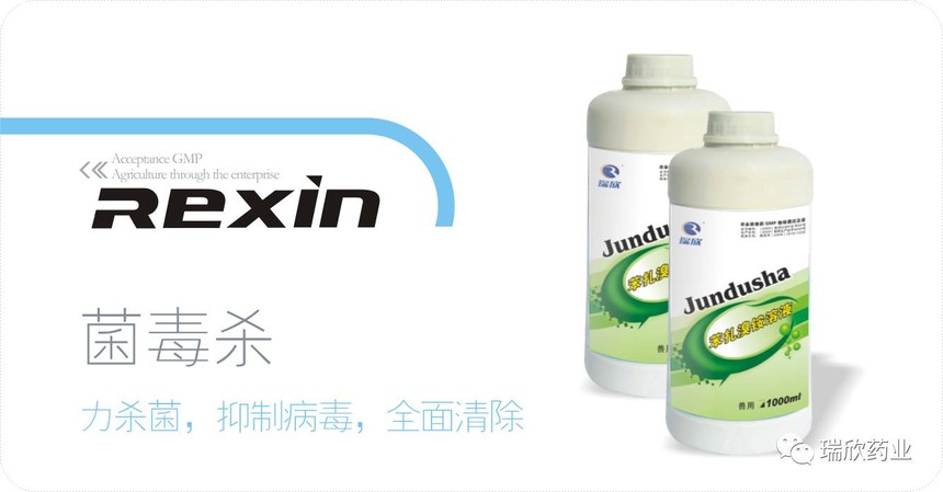 菌毒杀(图1)