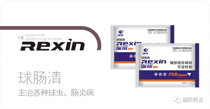 球肠清(图1)
