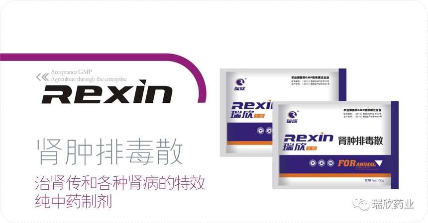肾肿排毒散(图1)