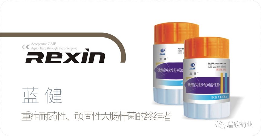 蓝健(图1)