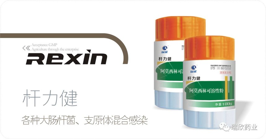 杆力健(图1)