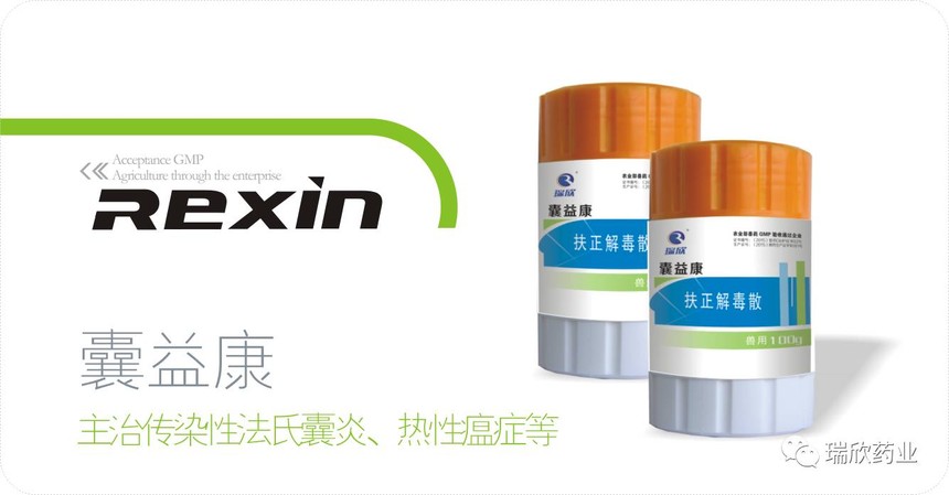 囊益康(图1)